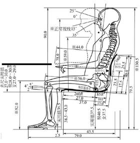 人體工學(xué)椅 人體工學(xué)椅
