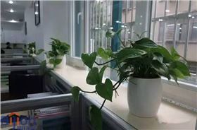 新辦公家具去氣味 新買辦公家具